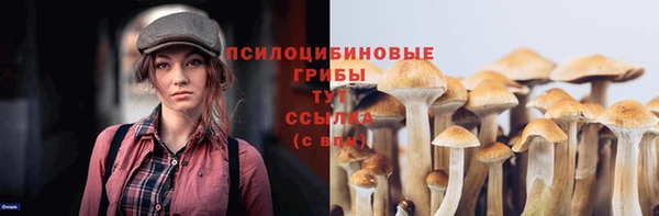 mix Армянск