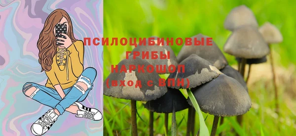 mix Армянск