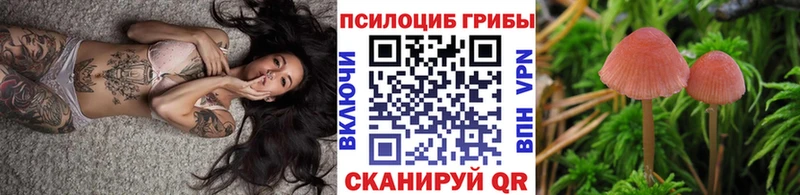 Галлюциногенные грибы Psilocybe  нарко площадка состав  Мензелинск 